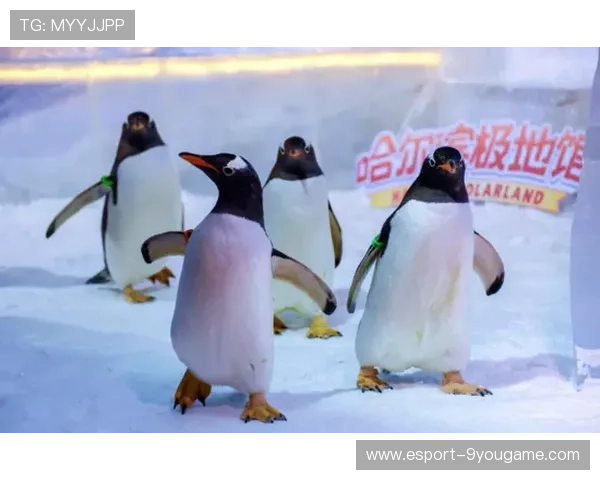 “冰雪奇缘：北极圈极寒赛段的激烈战斗”，冰雪奇缘和北极狐